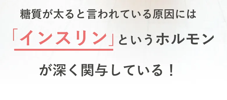 糖質が太ると言われている原因には「インスリン」というホルモンが深く関与している！